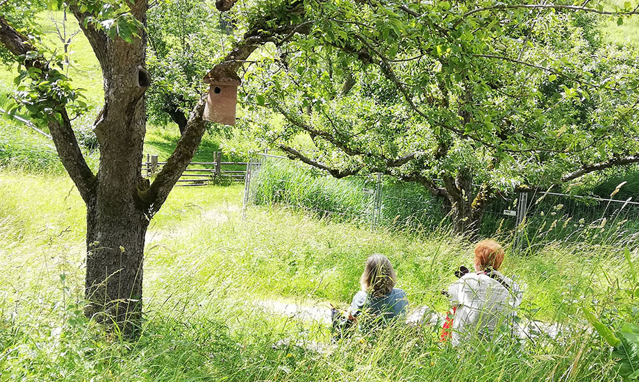 GeoparkNachlese einfach geniessen WEB